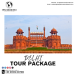 TOUR TO DELHI