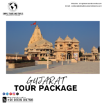 Gujarat Tour