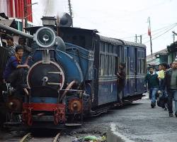 darjeeling