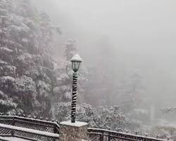 shimla